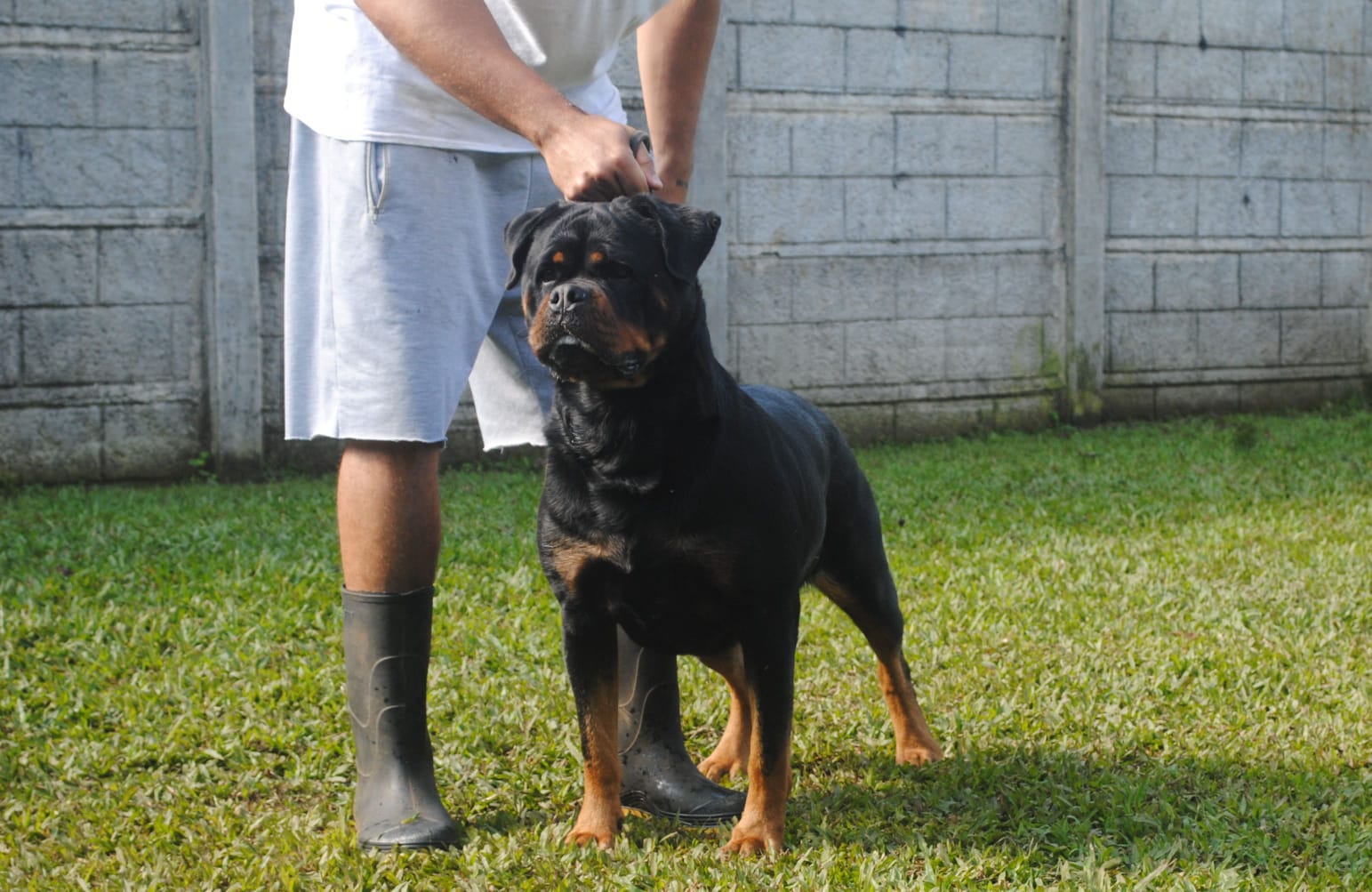 WhatsApp Image 2025-12-07 at 8.44.57 PM