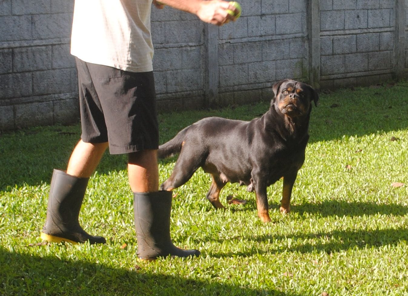 WhatsApp Image 2025-12-07 at 8.46.38 PM