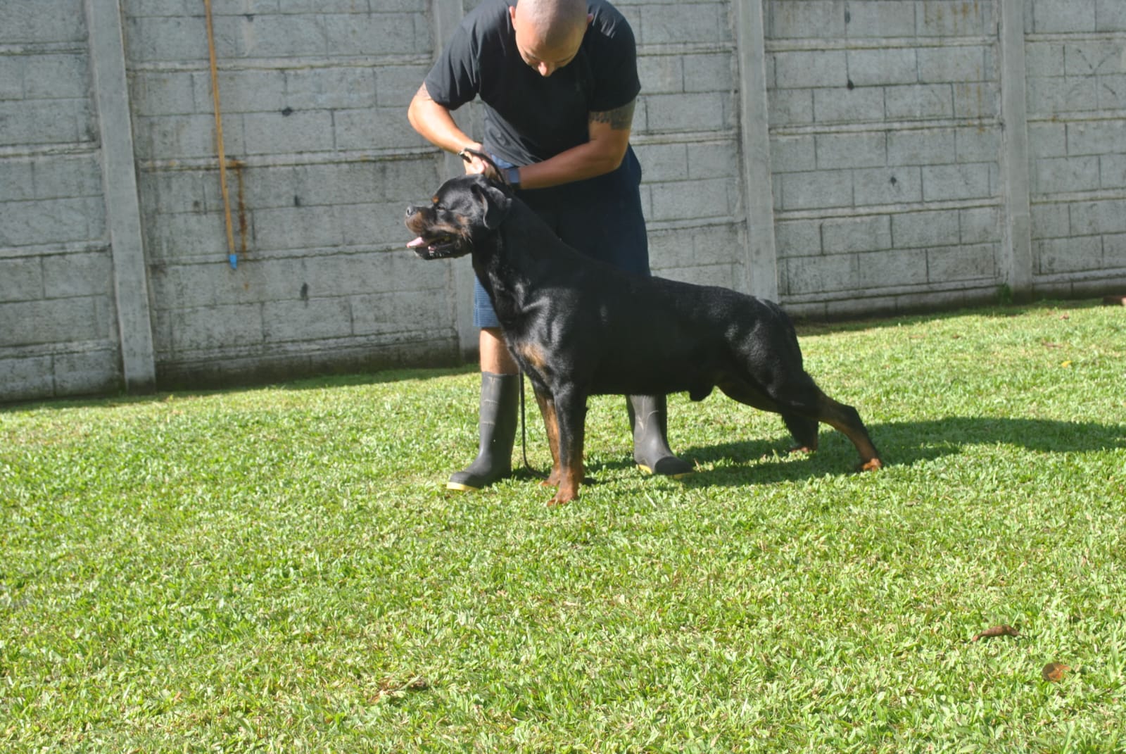 WhatsApp Image 2025-12-07 at 8.49.06 PM (4)