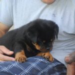 WhatsApp Image 2025-12-07 at 8.51.48 PM