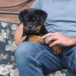 WhatsApp Image 2025-12-07 at 8.51.48 PM (2)