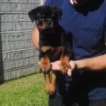 WhatsApp Image 2025-12-07 at 8.51.49 PM