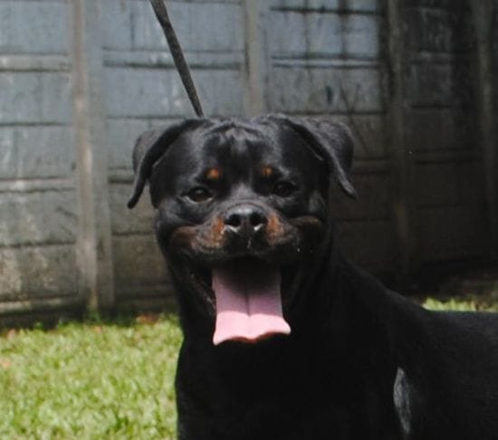 WhatsApp Image 2025-12-07 at 8.54.14 PM (1)