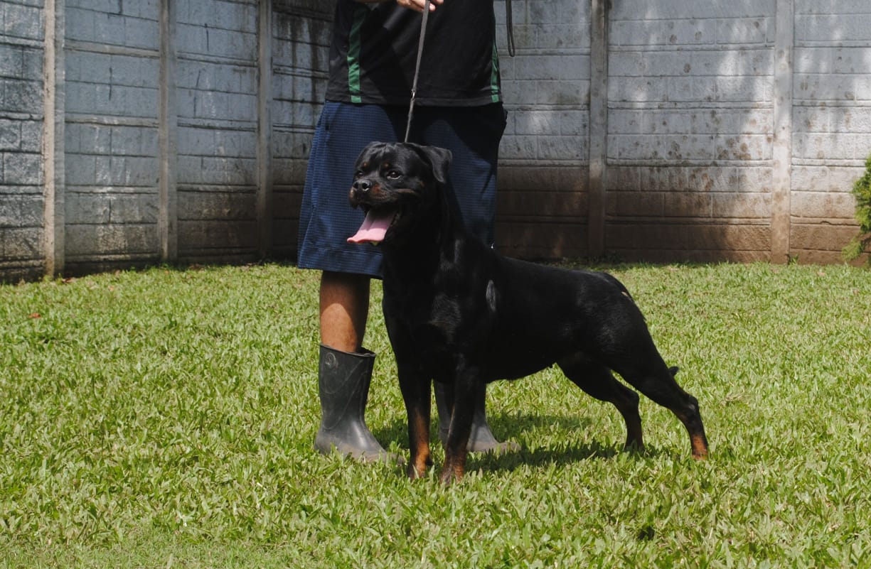 WhatsApp Image 2025-12-07 at 8.54.14 PM