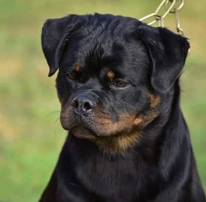 WhatsApp Image 2025-12-07 at 9.03.39 PM