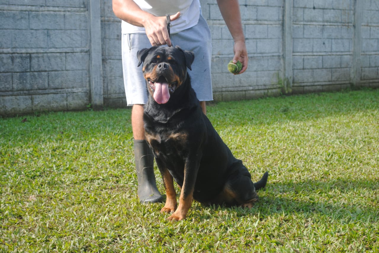 WhatsApp Image 2025-12-07 at 9.09.25 PM (2)