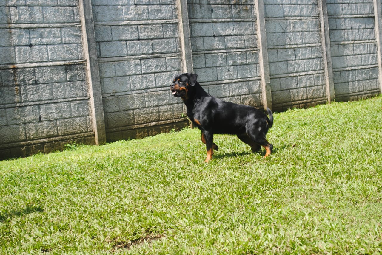 WhatsApp Image 2025-12-07 at 9.10.21 PM